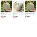 공주농장 이미지