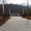 강남-214 이미지