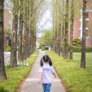 광주과학기술원 | 광주 지스트 광주과학기술원 캠퍼스 주말 나들이