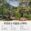 수피아 | 겨울 데이트 추천 | 부천 호수식물원 수피아 솔직 후기