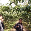 현명농장 이미지