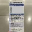 [삿포로🍈]홋카이도 멜론 차원이 달라… 유바리 멜론 검역 후기