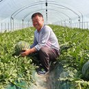 고령유통 이미지