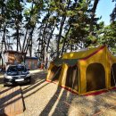 중앙솔밭캠핑장 이미지