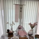 장수떡방앗간 | 셀프백일상 대여 이노테이블, 동탄 금손떡가 백일떡 내돈내산 후기