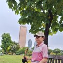 시민생활체육공원 앞 교통섬 | 여의도공원(永登浦)