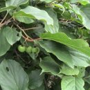 개울옆길 이미지