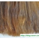 라온헤어 이미지