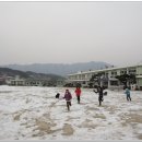 경남 거창 서변 정보화 마을 딸기따기 체험학습 2010.01.10 이미지