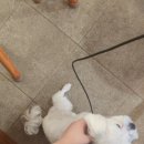 몽리단