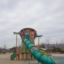 정화 태권도장 이미지