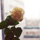 헤어오띄꾸띄르