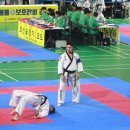 효천합기도 이미지