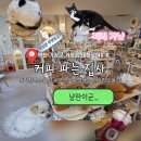 까페 오르골 부산 | 기장역 소품샵, 부산 소품샵, 부산 기장 소품샵...1마리가 살고 있는 "커피 파는 집사" 갔다 온 후기