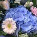 산호무도장 | 여름의 풍물 &amp; 지네는 요즘 무엇을 신는가 (사진털이/ 데이터주의) 45주년 태닝키티 산리오