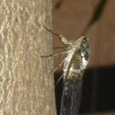 신문화건축사사무소 이미지