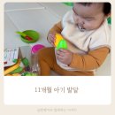 요망진밥상 | [성장기록] 발달선별검사지로 확인하는 11개월 아기 발달