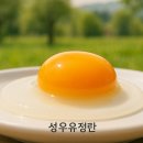 성우유정란 이미지