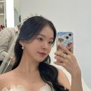 본태인터네셔널