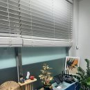 밸런스스킨앤바디