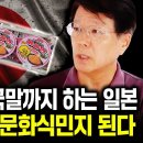 일본이 한국의 문화식민지가 될 수 밖에 없는 결정적 이유 이미지