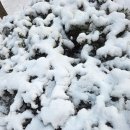 방배2동주민센터 3층 강당 이미지