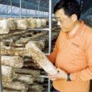 영농조합법인그린농산 이미지