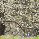 다도해헬스 이미지