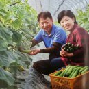 이기순농장 이미지