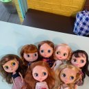 코지베어 이미지