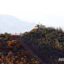 비무장지대 이미지