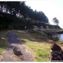 백록정궁도장 이미지