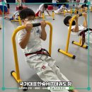 히트 태권도 이미지