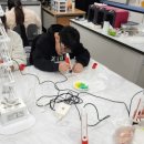 상관초등학교 이미지