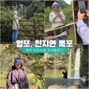 제주 천지연 난대림 | 비오는날 제주 서귀포 엉또폭포, 천지연폭포 초겨울걷기