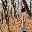 계남공원(배드민턴장) 이미지