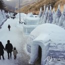 칠갑산알프스 이미지