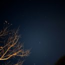 몽키캠핑장 이미지