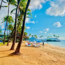 이영애농장 | [하와이 여행] 오아후 섬 일일투어 (할로우 블로우홀,마카푸포인트, 쿠알로아 렌치, 할레이바 타운) 후기