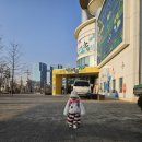 에코리움 | 15개월 아기랑 오산 에코리움 다녀온 솔직후기 | 무료관람 생태학습체험장