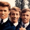 The Bee Gees / Words 이미지