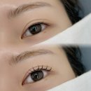 KT 플라자 횡단보도 | 마곡나루 강서구 속눈썹 맛집 잘하는 집 솔직후기 :: 와이오브로우