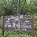 26.6.9.15.3⁰.하단역.승학산.당리역 (혼산) 이미지