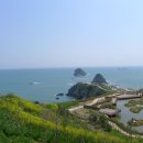 하늘동화 이미지