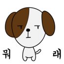 바우하우스 스튜디오 이미지