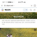 (오후) 10월19일(목) 올림픽 공원 코스모스와 단풍길 트레킹여행 이미지