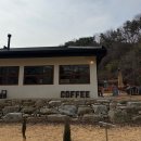 청길강변로 | 무주군 윌로우파크커피 방문 후기｜메뉴·가격·주차 정보 ｜애견동반가능 카페｜내돈내산