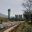 미사뚝방산책로 이미지