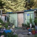 철원목장 이미지