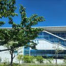 하야트모텔 | [알바일기#7] 복부영상학회 학회장알바 후기 #그랜드하얏트인천 #대한복부영상학회